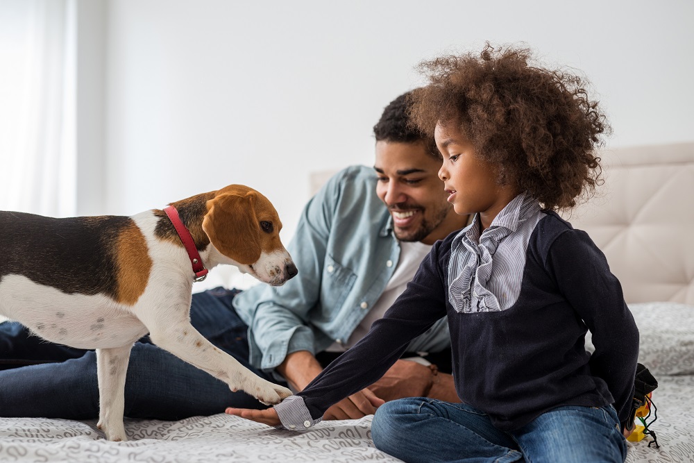 a couple with a pet in an apartment