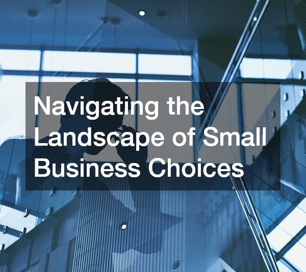 Navigating the Landscape of Small Business Choices