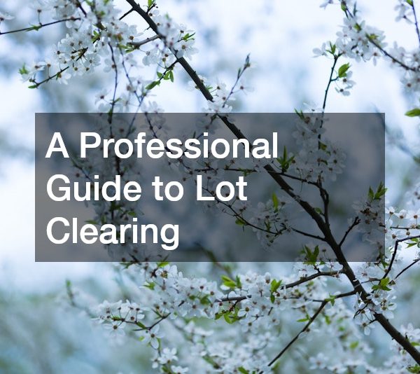 A Professional Guide to Lot Clearing